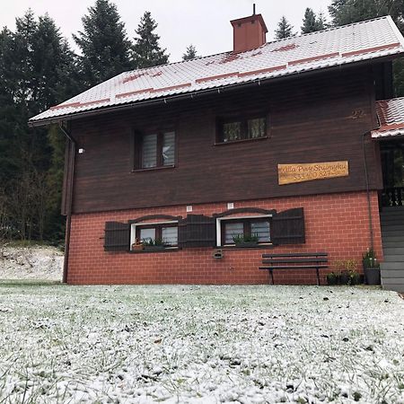 Willa Przy Strumyku Krynica Zdroj Buitenkant foto