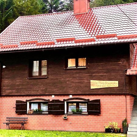 Willa Przy Strumyku Krynica Zdroj Buitenkant foto