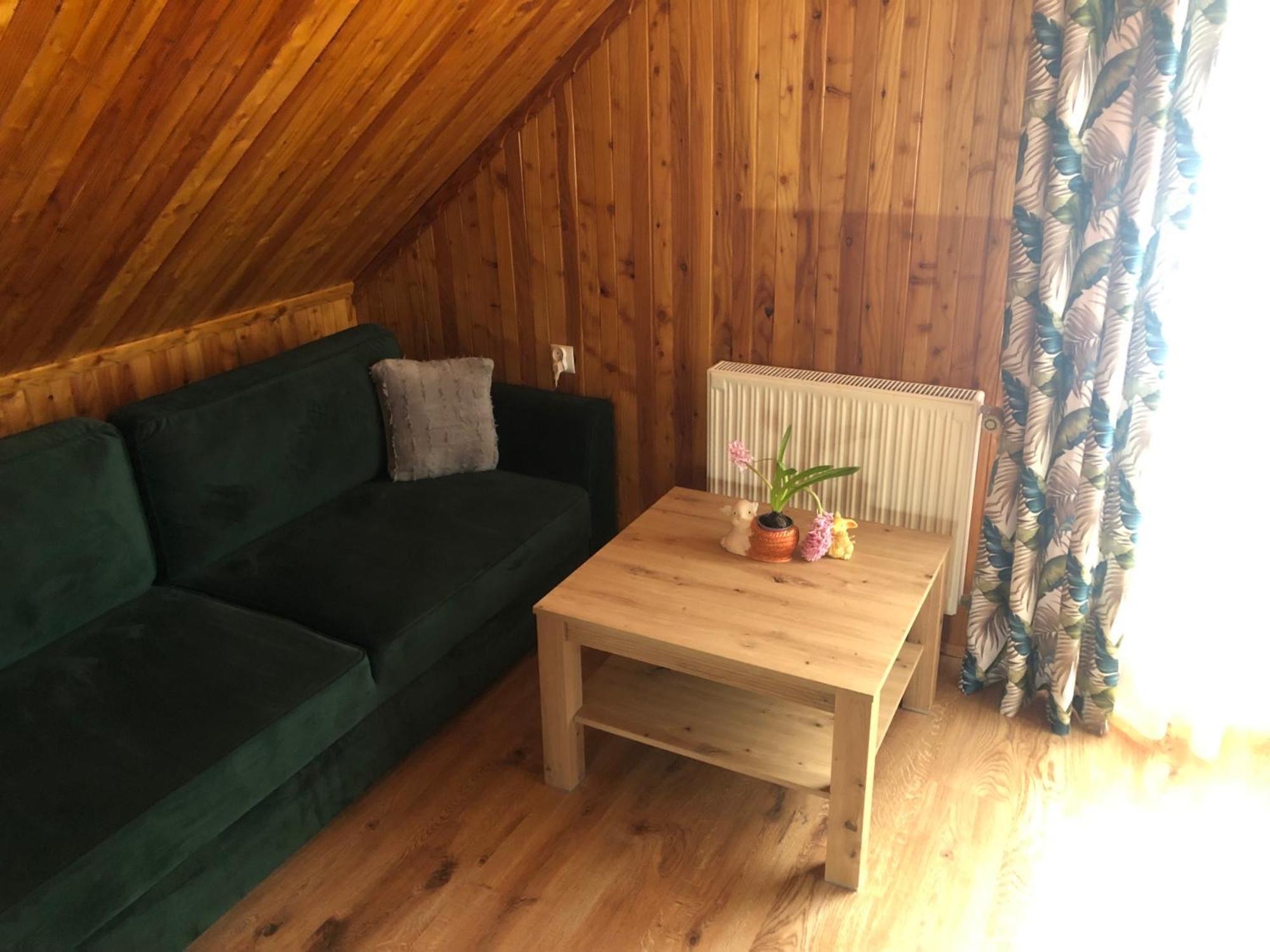 Willa Przy Strumyku Krynica Zdroj Buitenkant foto