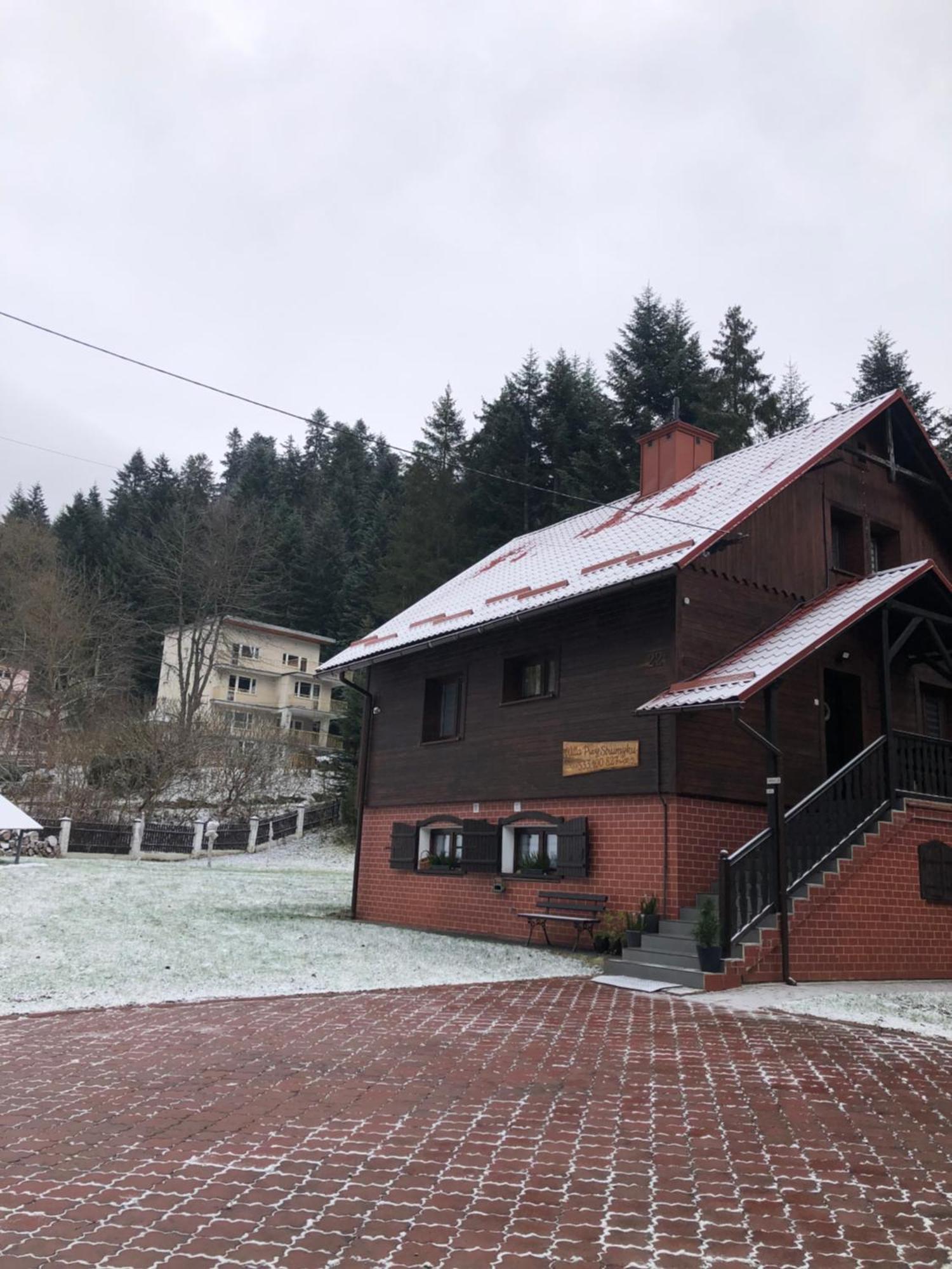 Willa Przy Strumyku Krynica Zdroj Buitenkant foto